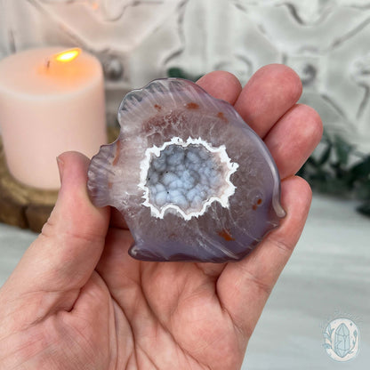 Hand Carved Druzy Agate Fish Carving with Display Stand