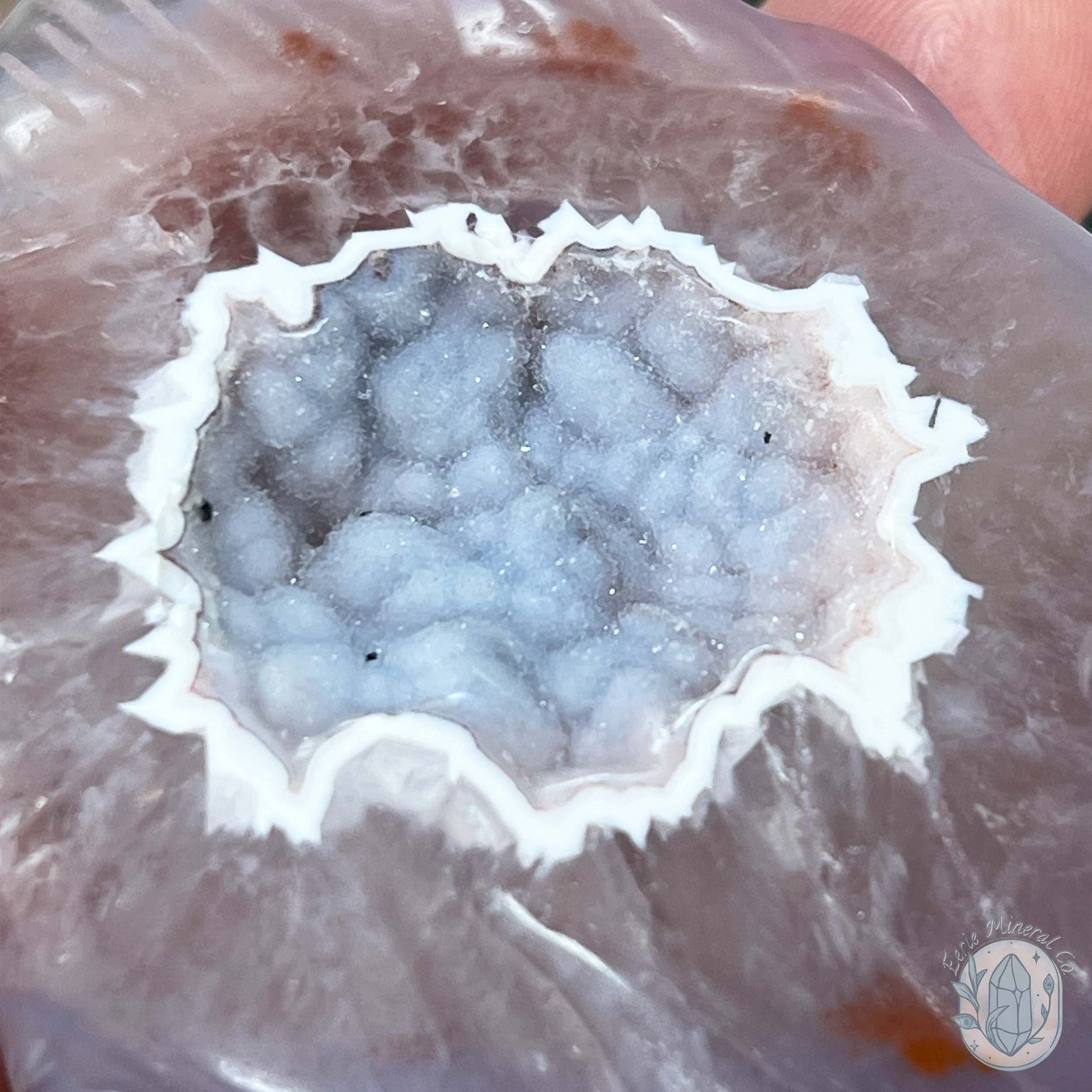 Hand Carved Druzy Agate Fish Carving with Display Stand