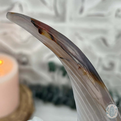 Hand Carved Agate Fish Carving with Display Stand