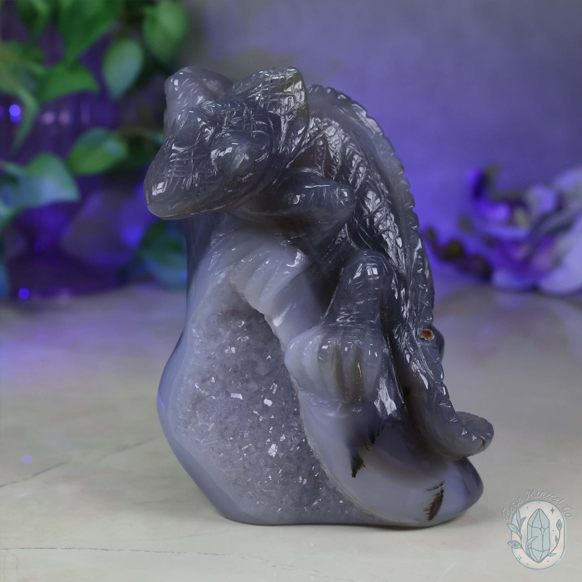 Hand Carved Druzy Quartz Agate Geode Lizard On Rock