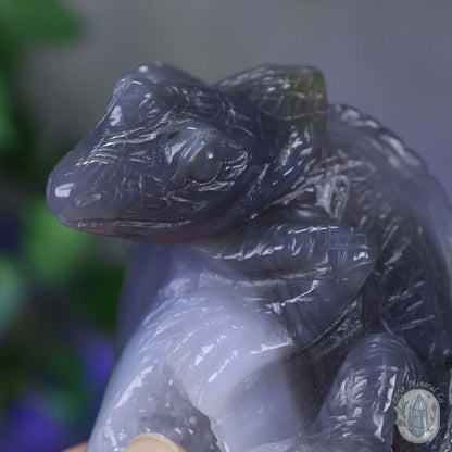 Hand Carved Druzy Quartz Agate Geode Lizard On Rock