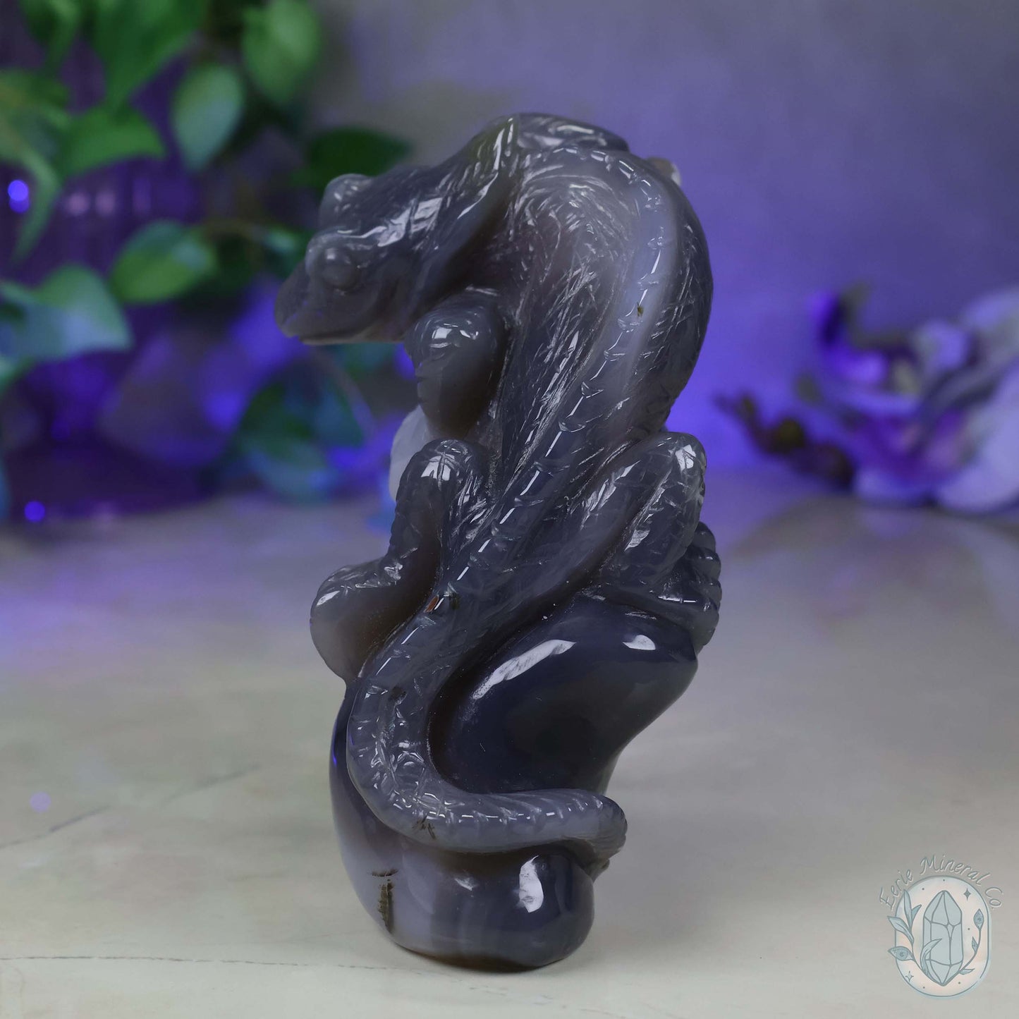 Hand Carved Druzy Quartz Agate Geode Lizard On Rock