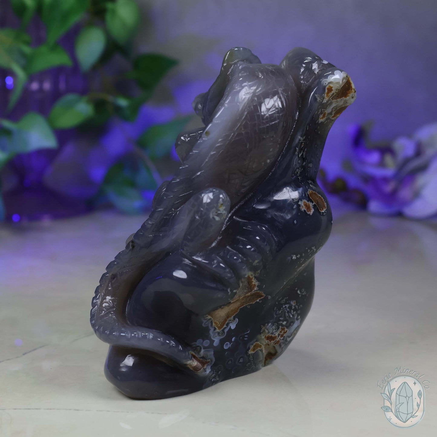 Hand Carved Druzy Quartz Agate Geode Lizard On Rock