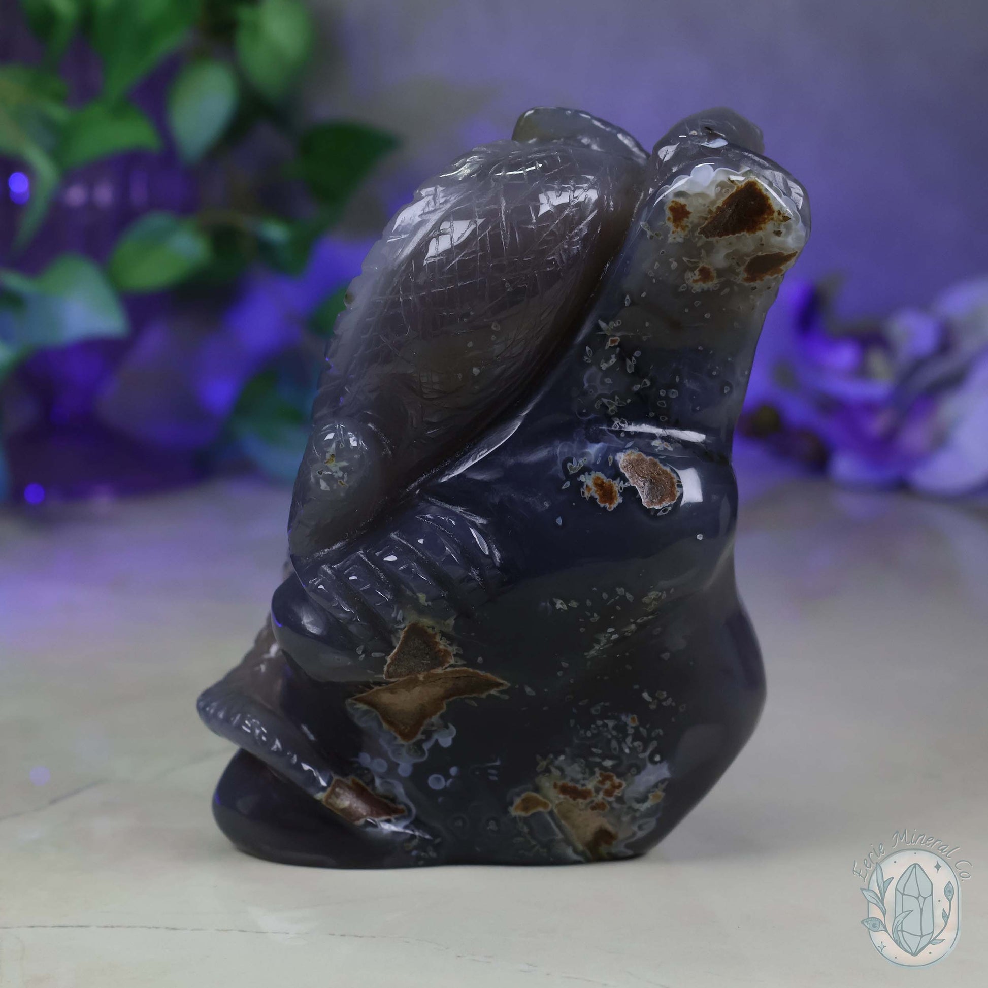 Hand Carved Druzy Quartz Agate Geode Lizard On Rock