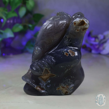 Hand Carved Druzy Quartz Agate Geode Lizard On Rock