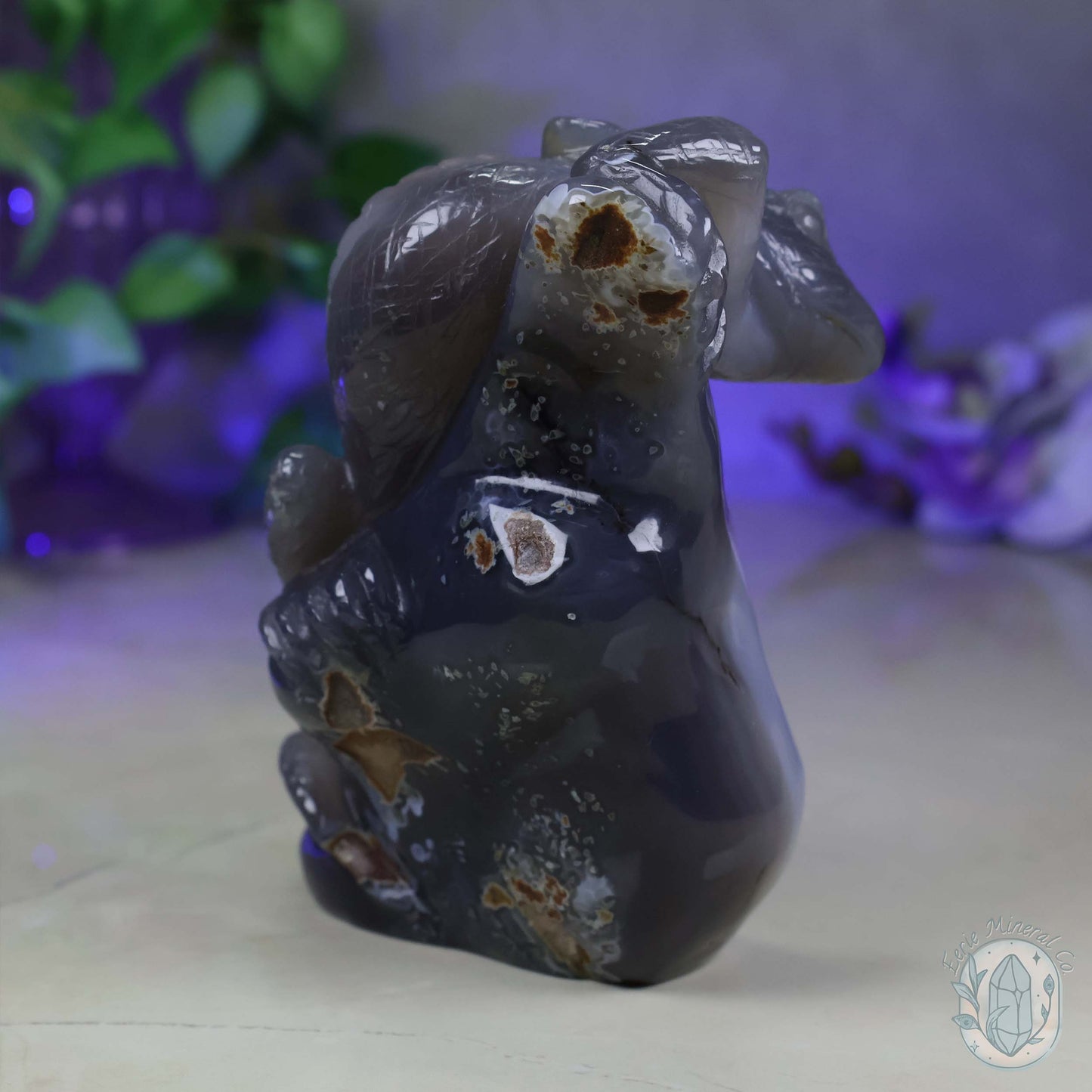 Hand Carved Druzy Quartz Agate Geode Lizard On Rock