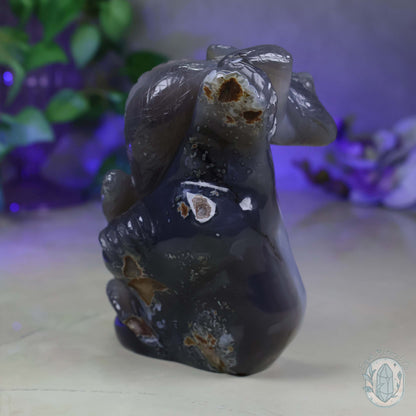 Hand Carved Druzy Quartz Agate Geode Lizard On Rock