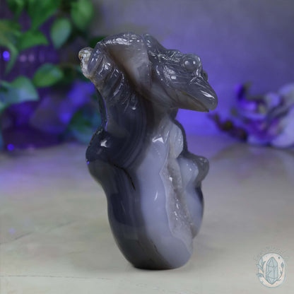 Hand Carved Druzy Quartz Agate Geode Lizard On Rock