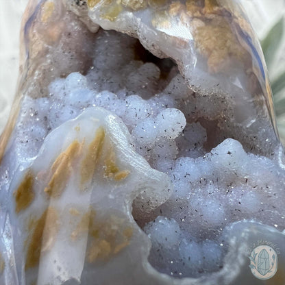 Polished Druzy Agate Standing Penguin Carving