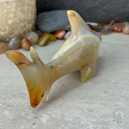 Layered Quartz Agate Great White Shark Carving