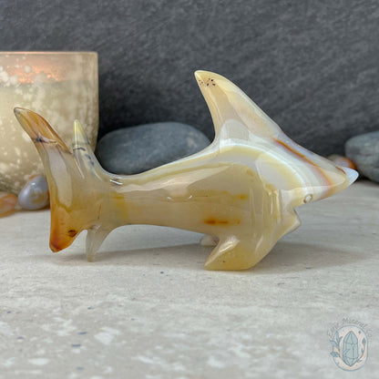Layered Quartz Agate Great White Shark Carving
