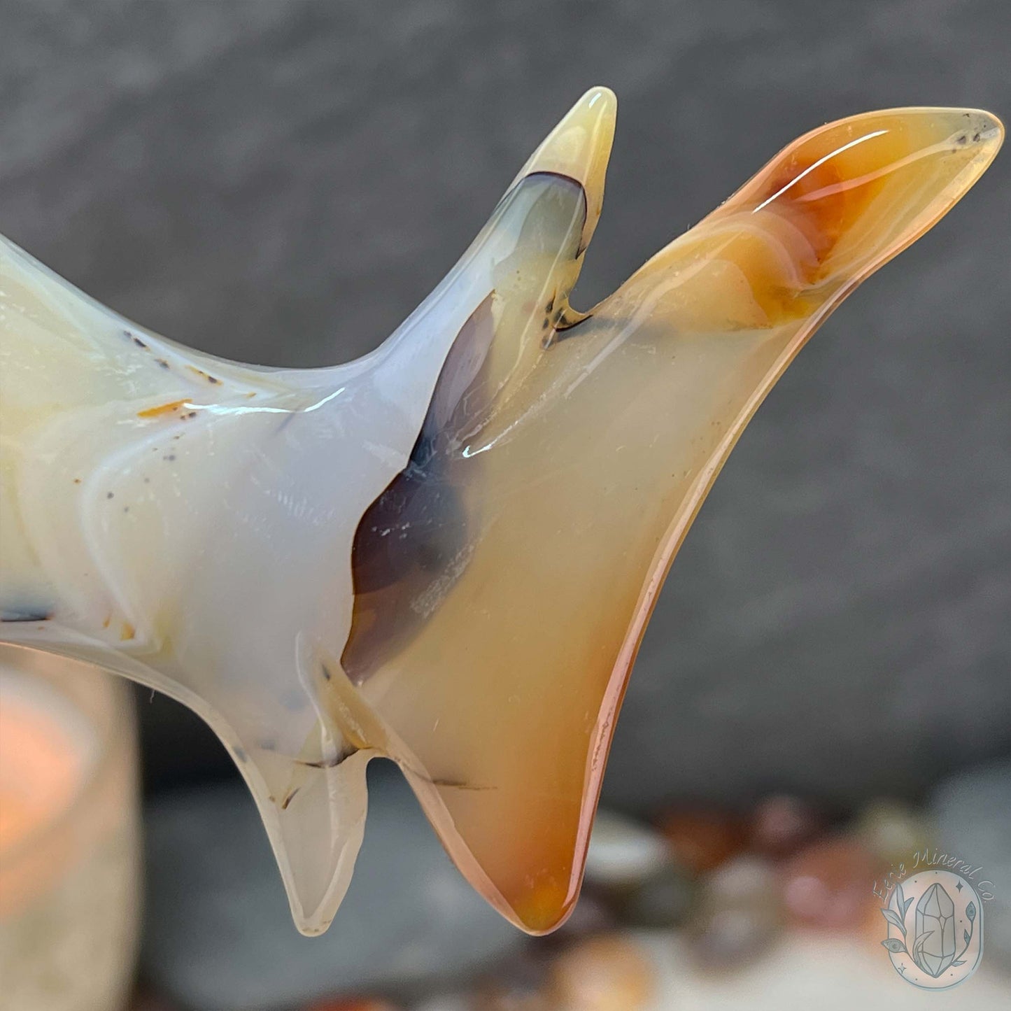 Layered Quartz Agate Great White Shark Carving