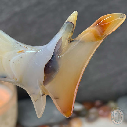 Layered Quartz Agate Great White Shark Carving