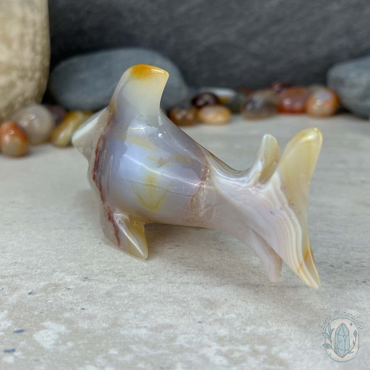 White Banded Agate Great White Shark Carving