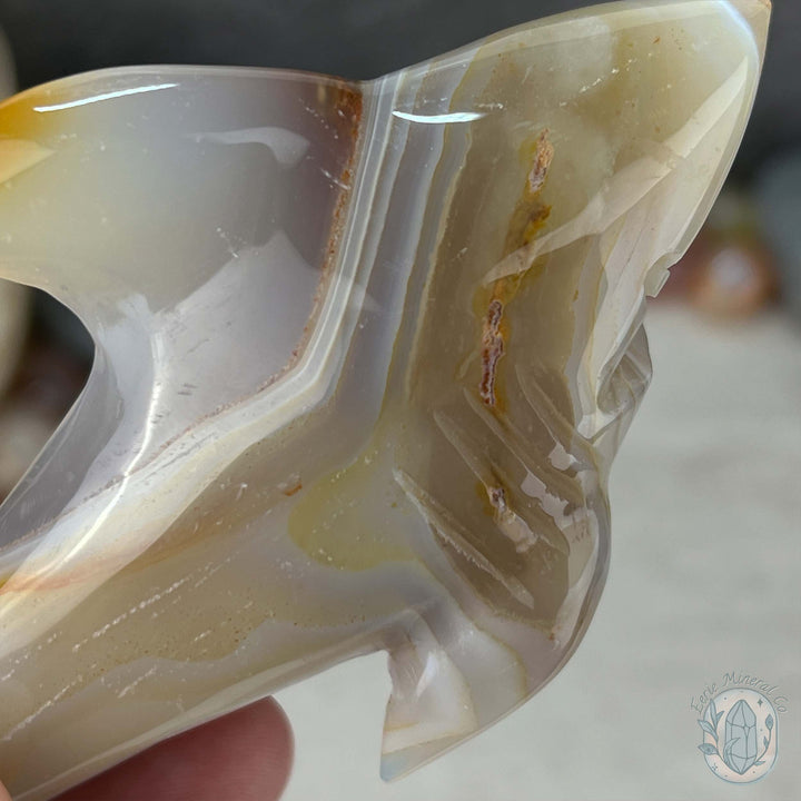 White Banded Agate Great White Shark Carving