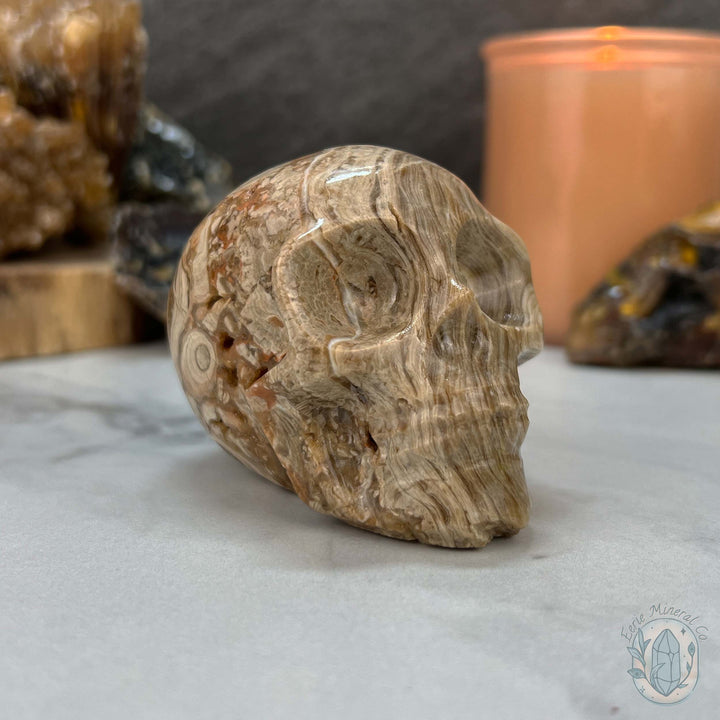 Druzy Amber Calcite Skull Carving