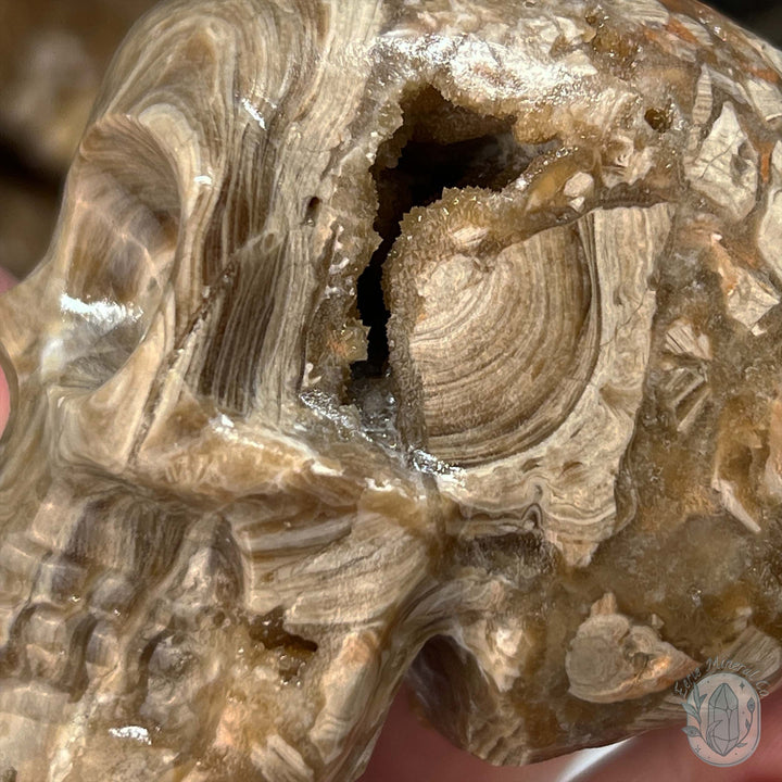 Druzy Amber Calcite Skull Carving