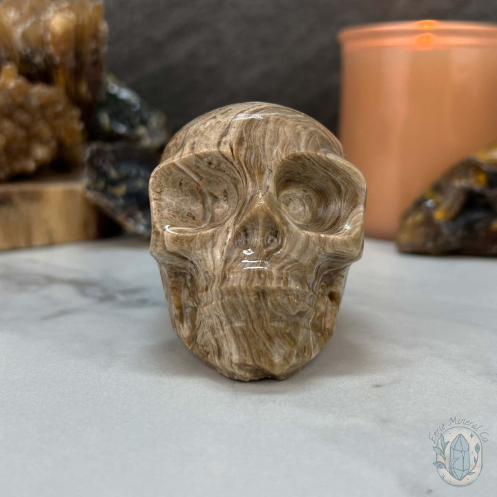 Druzy Amber Calcite Skull Carving