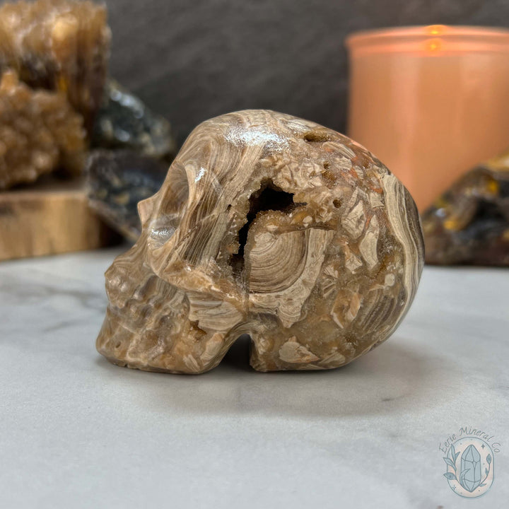 Druzy Amber Calcite Skull Carving