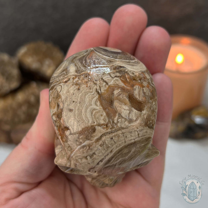 Druzy Amber Calcite Skull Carving