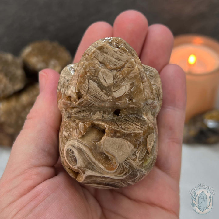 Druzy Amber Calcite Skull Carving