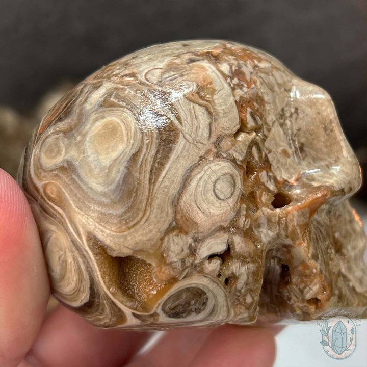 Druzy Amber Calcite Skull Carving