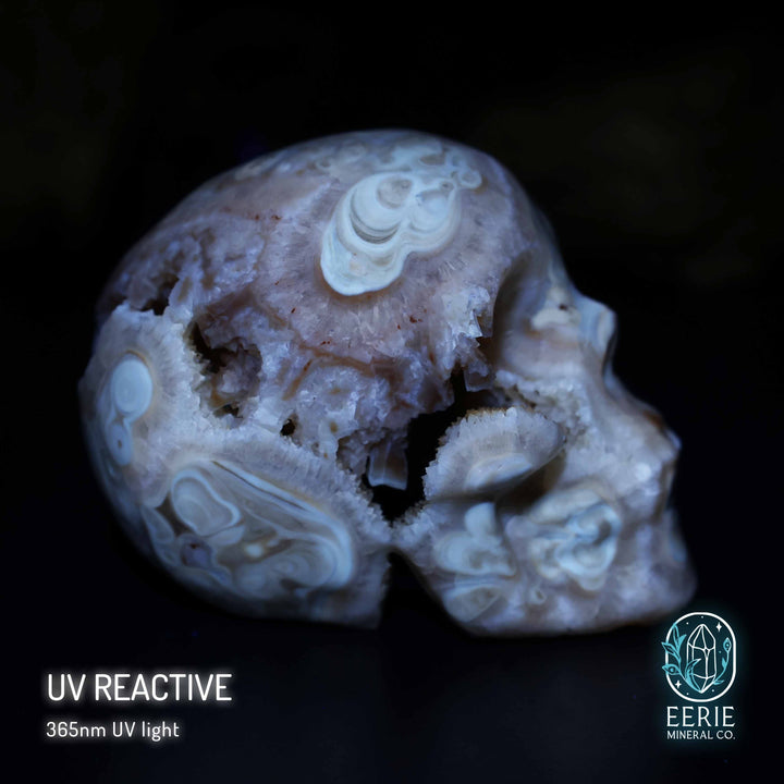 Golden Druzy Amber Calcite Skull Carving