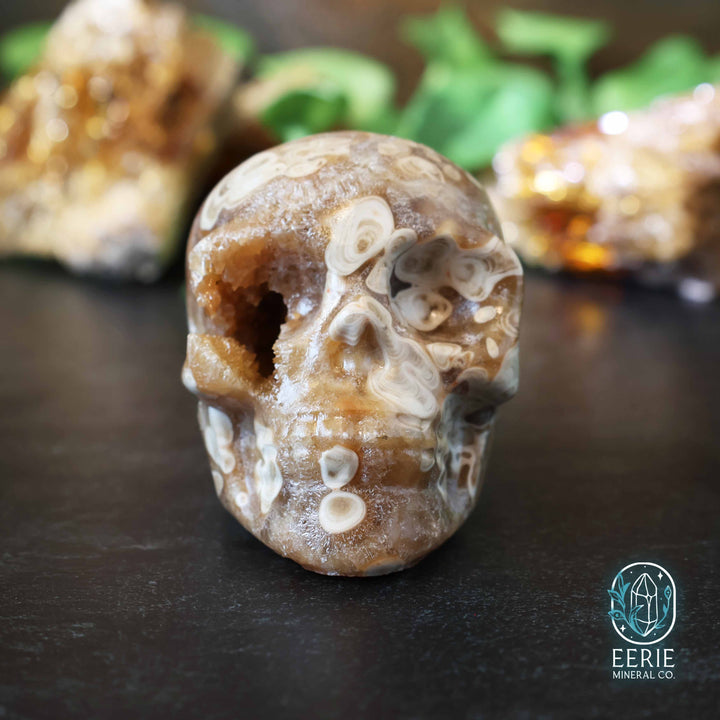Golden Druzy Amber Calcite Skull Carving