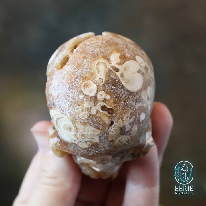 Golden Druzy Amber Calcite Skull Carving