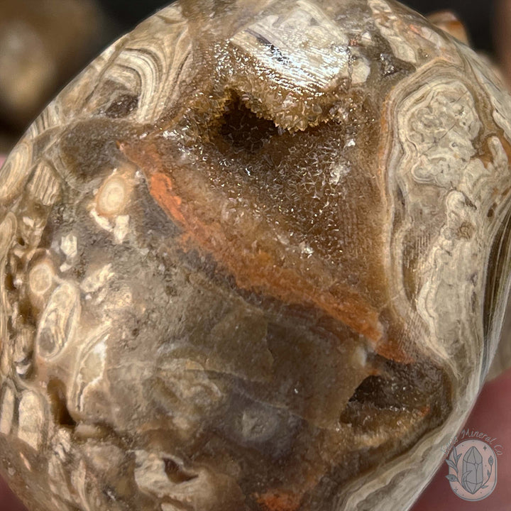 Druzy Amber Calcite Skull Carving