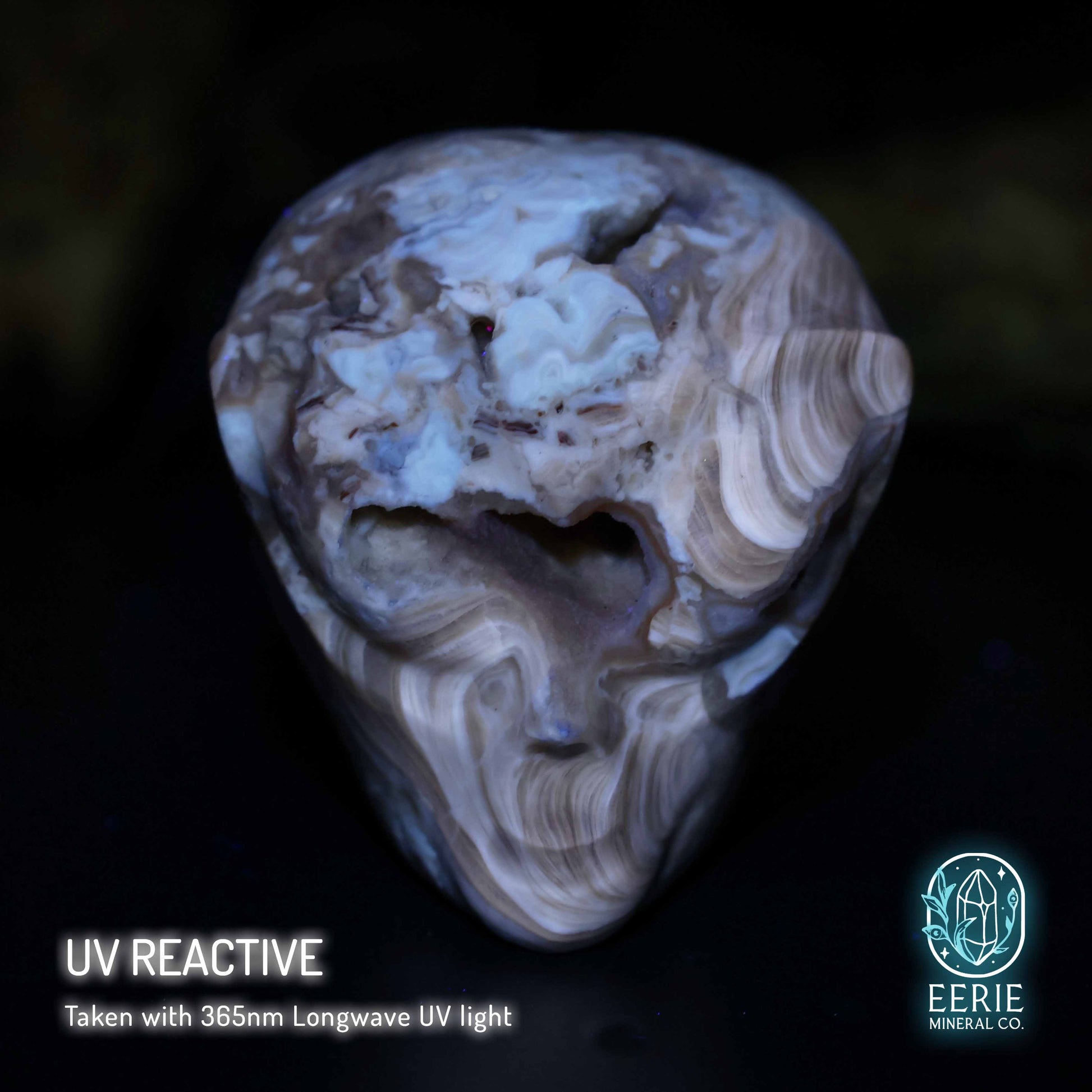 UV Reactive Druzy Amber Calcite Alien Skull