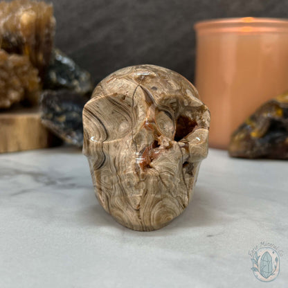 Druzy Amber Calcite Skull Carving