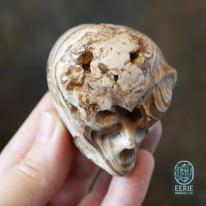 UV Reactive Druzy Amber Calcite Alien Skull