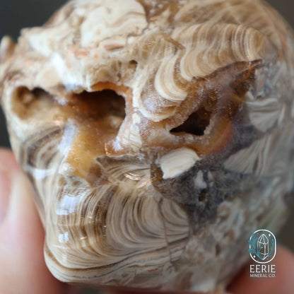 UV Reactive Druzy Amber Calcite Alien Skull