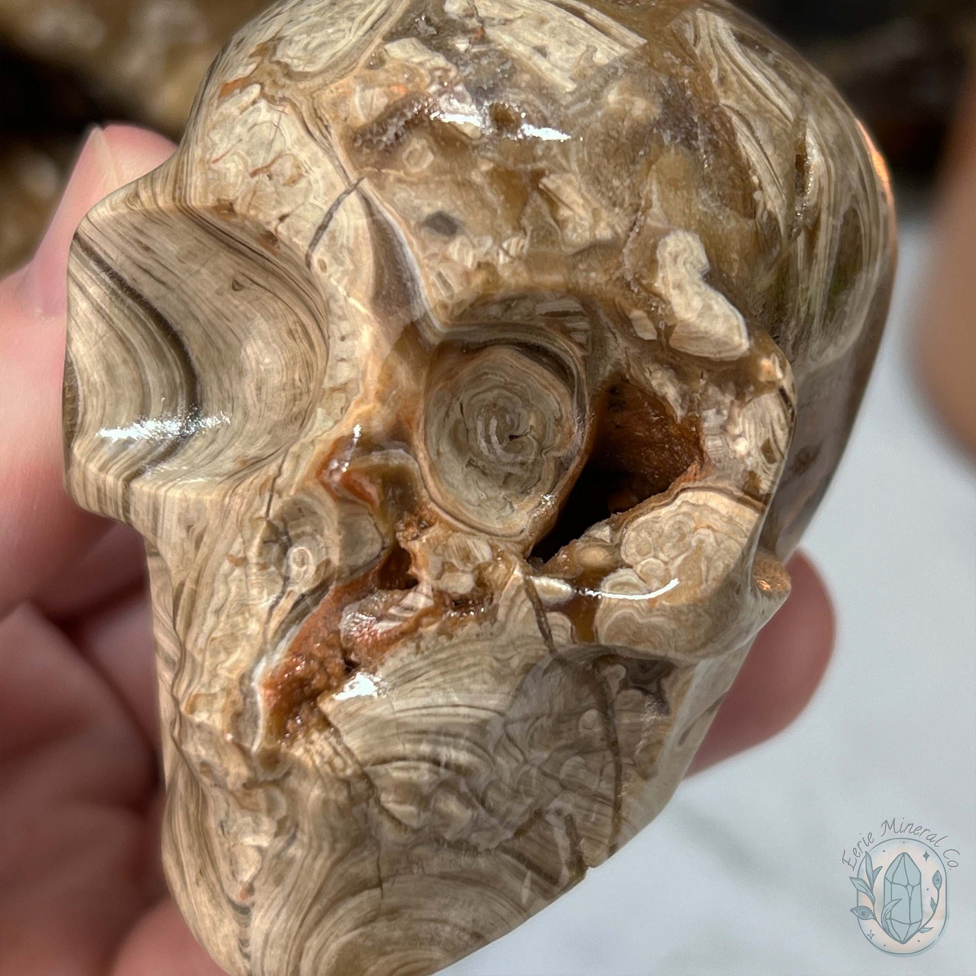Druzy Amber Calcite Skull Carving