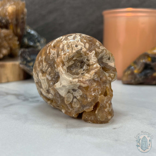 Polished Druzy Amber Calcite Skull Carving