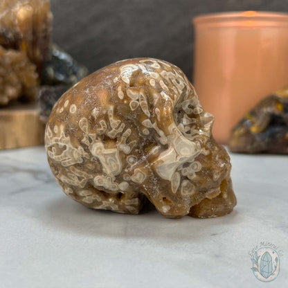 Polished Druzy Amber Calcite Skull Carving