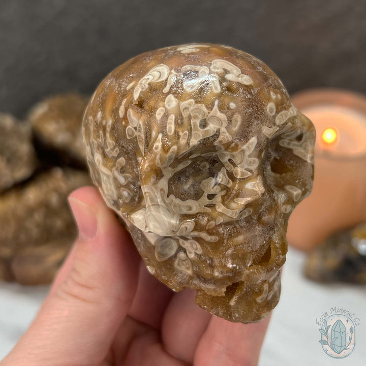 Polished Druzy Amber Calcite Skull Carving