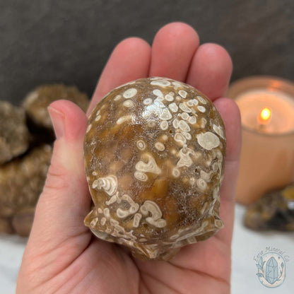 Polished Druzy Amber Calcite Skull Carving