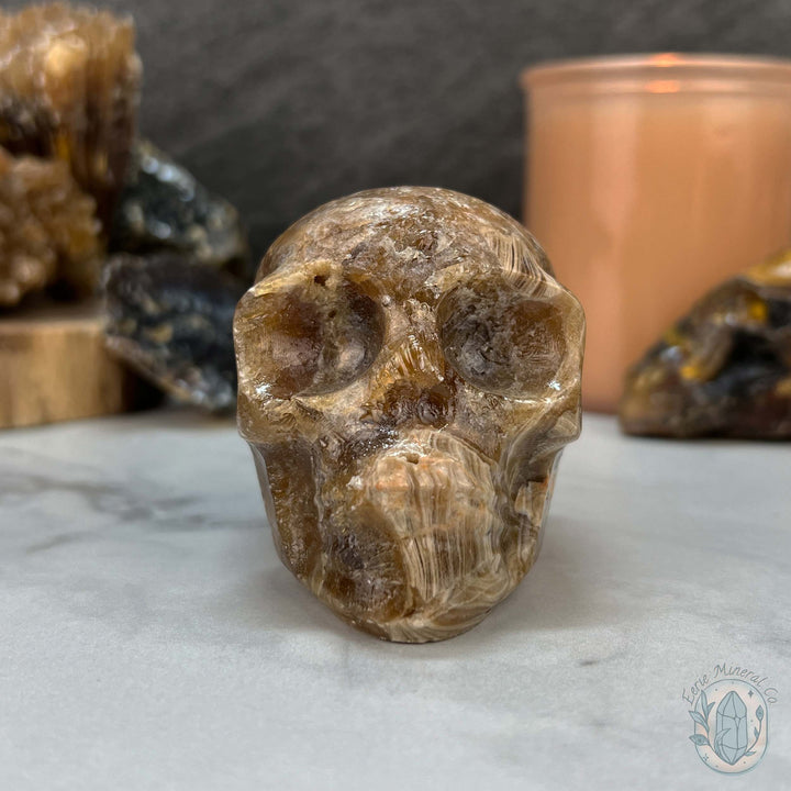 Polished Druzy Amber Calcite Skull Carving