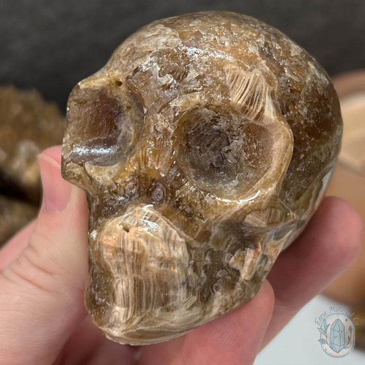 Polished Druzy Amber Calcite Skull Carving