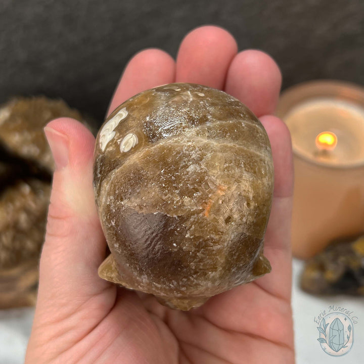 Polished Druzy Amber Calcite Skull Carving