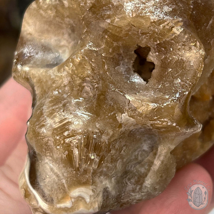 Polished Druzy Amber Calcite Skull Carving