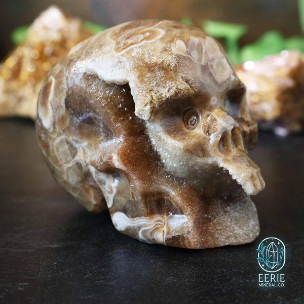 UV Reactive Druzy Amber Calcite Skull