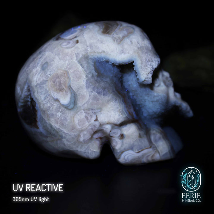 UV Reactive Druzy Amber Calcite Skull