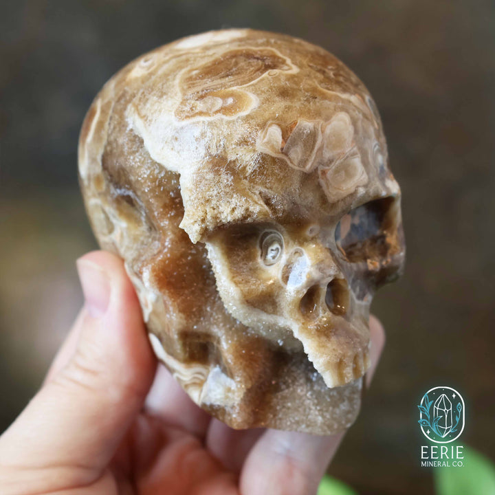UV Reactive Druzy Amber Calcite Skull