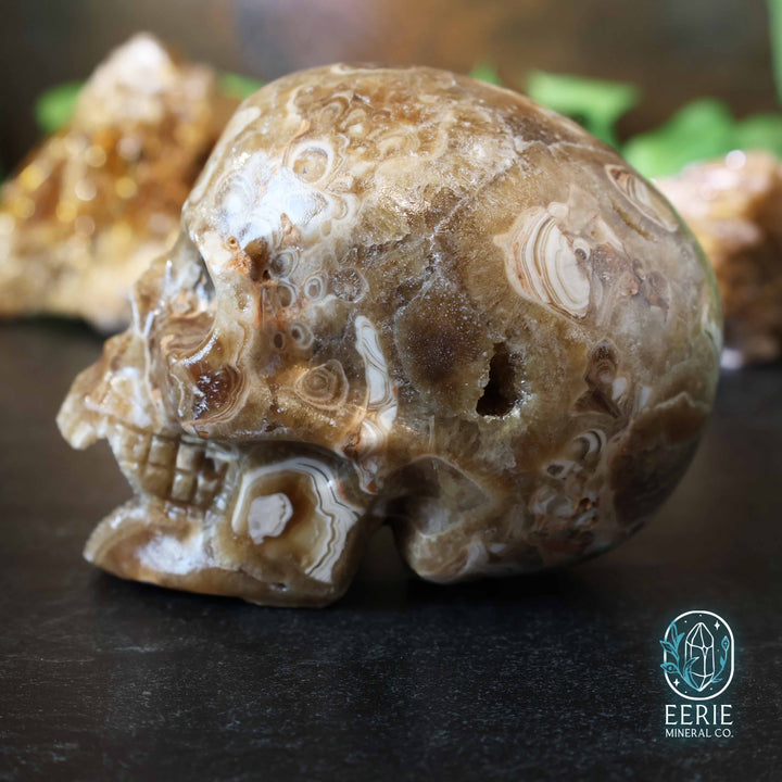 UV Reactive Druzy Amber Calcite Skull