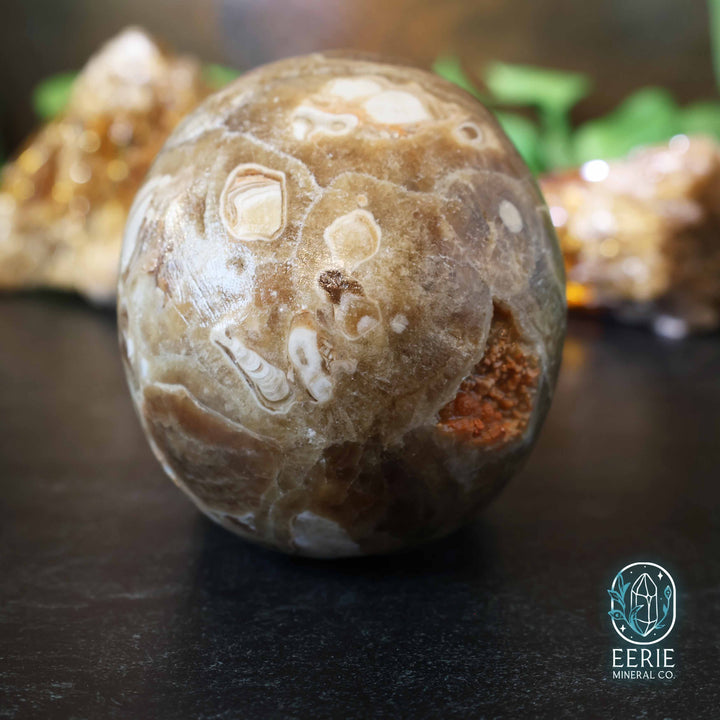UV Reactive Druzy Amber Calcite Skull