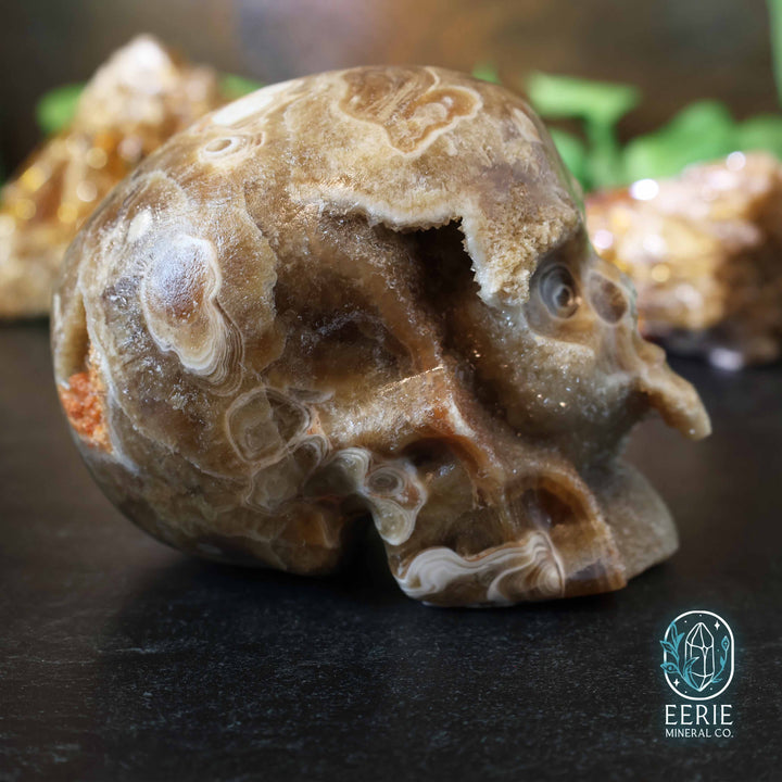 UV Reactive Druzy Amber Calcite Skull