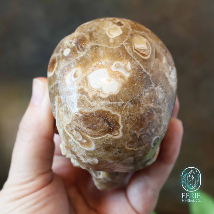 UV Reactive Druzy Amber Calcite Skull